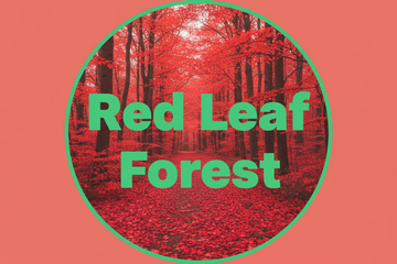 Red Leaf Forest